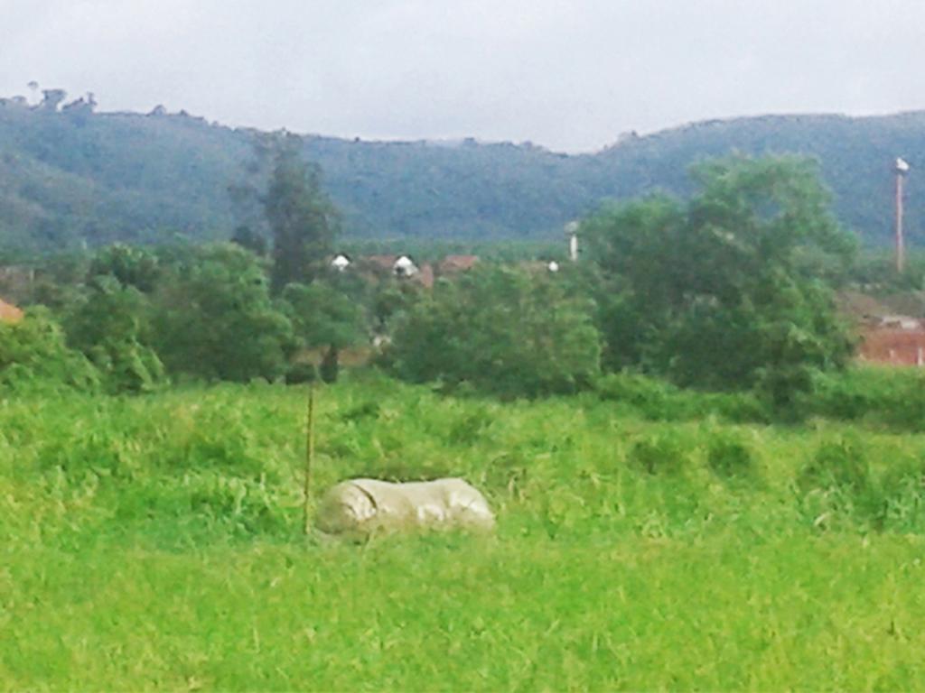 Casa de hóspedes Yesterday Country Phuket